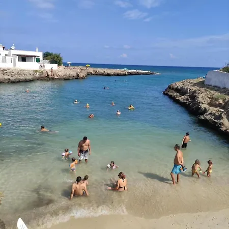 Aulona Tourist *